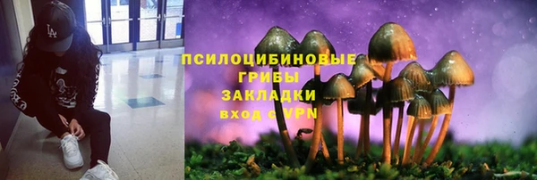 амф Козельск