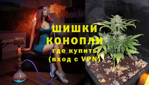 амф Козельск