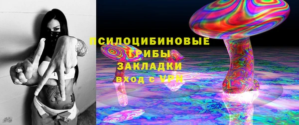 амф Козельск
