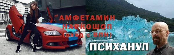 амф Козельск