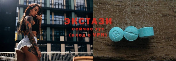 амф Козельск