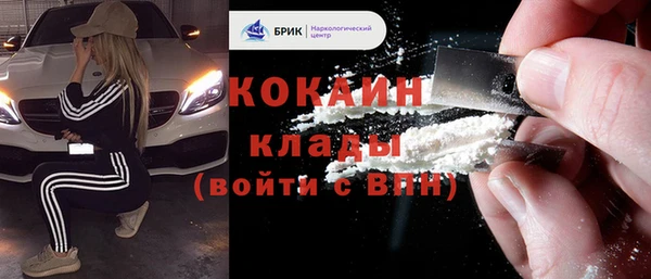 амф Козельск